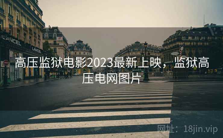 高压监狱电影2023最新上映，监狱高压电网图片  第1张