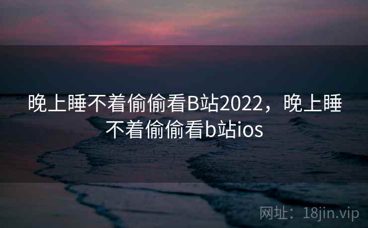 晚上睡不着偷偷看B站2022，晚上睡不着偷偷看b站ios  第2张